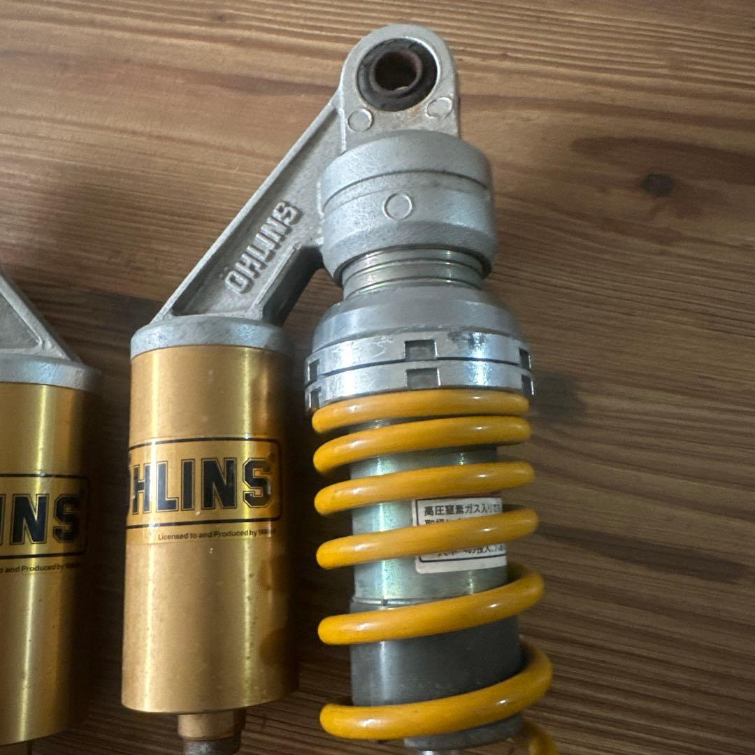 オーリンズ　ヤマリンズ