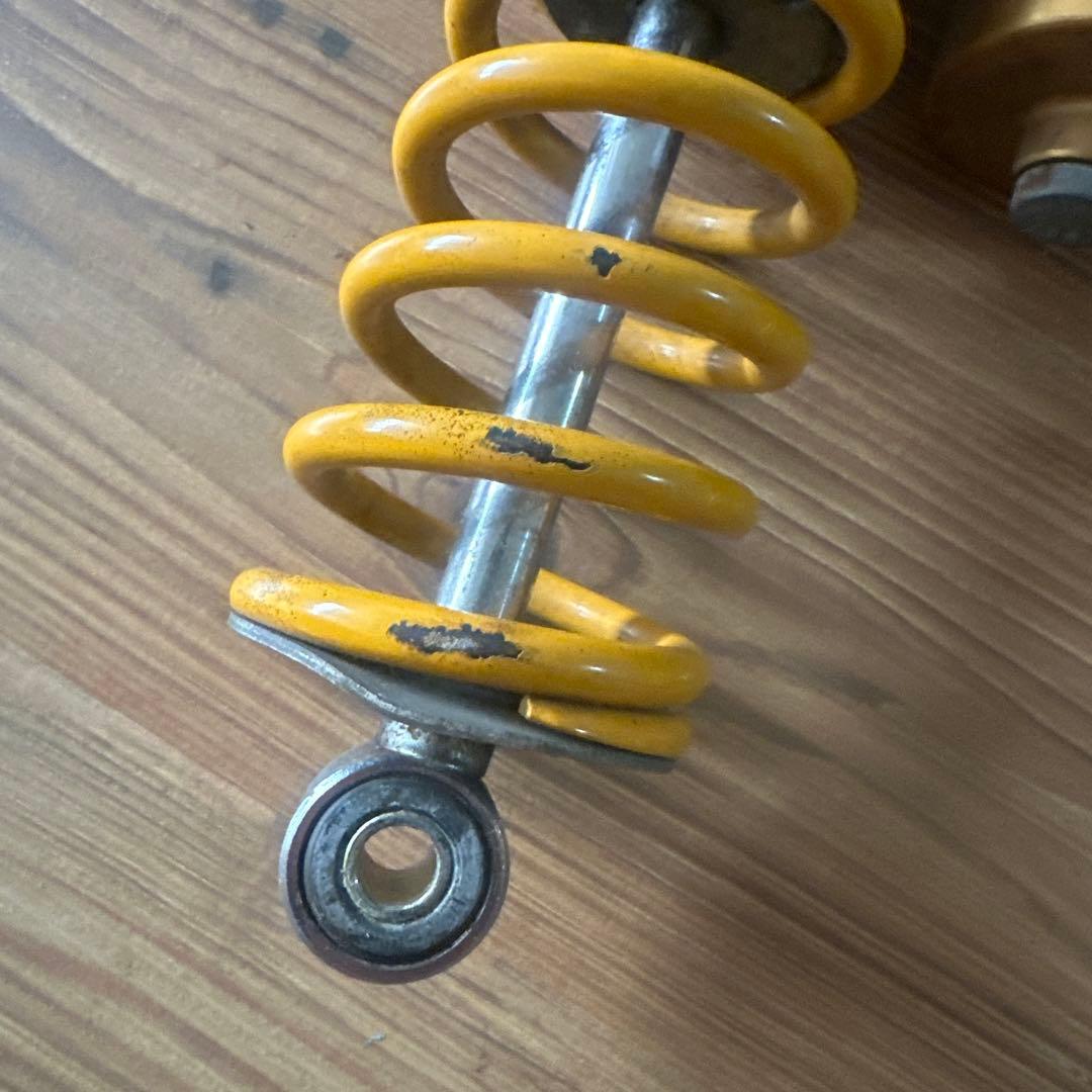 オーリンズ　ヤマリンズ