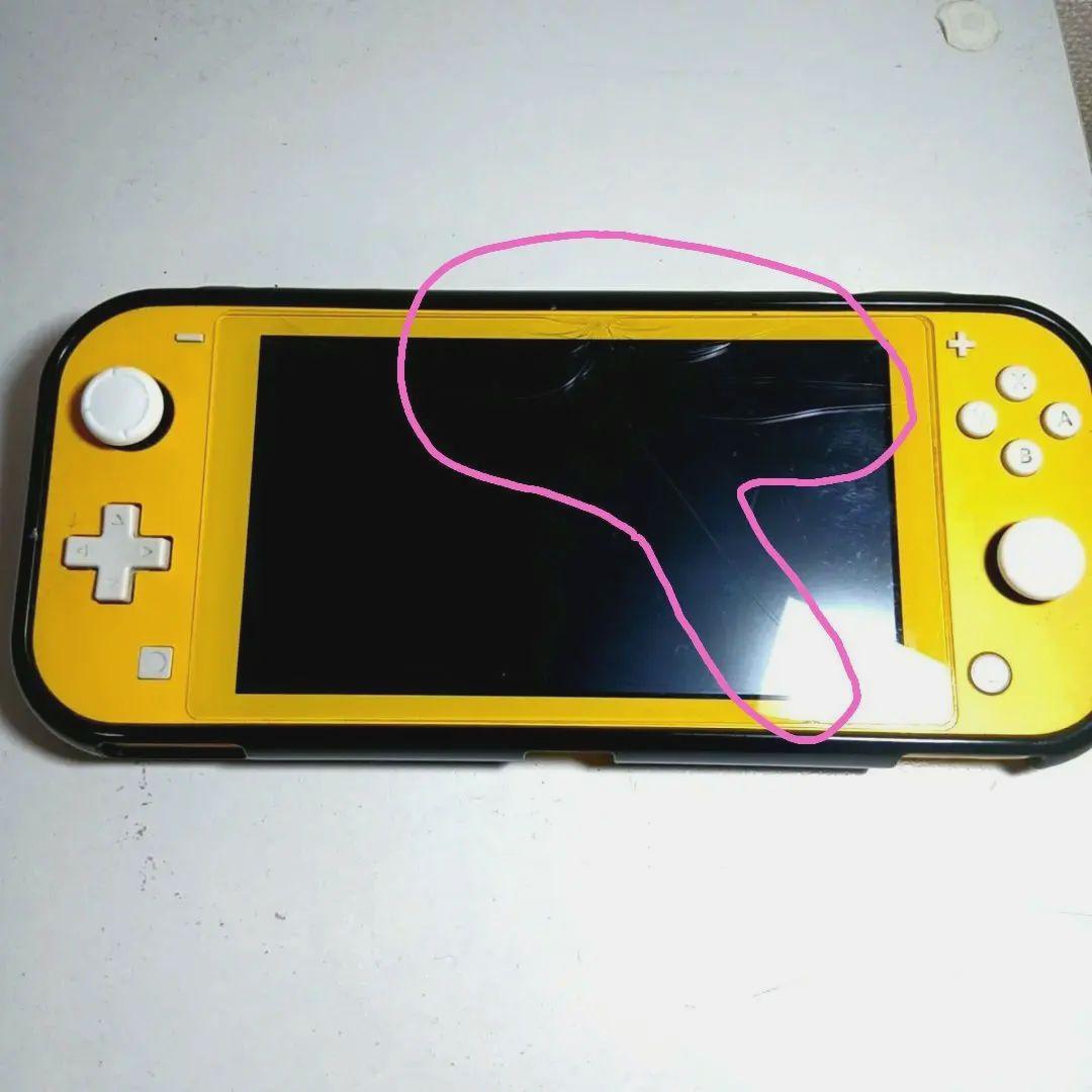 【Nintendo Switch Lite＆ジョイコン】