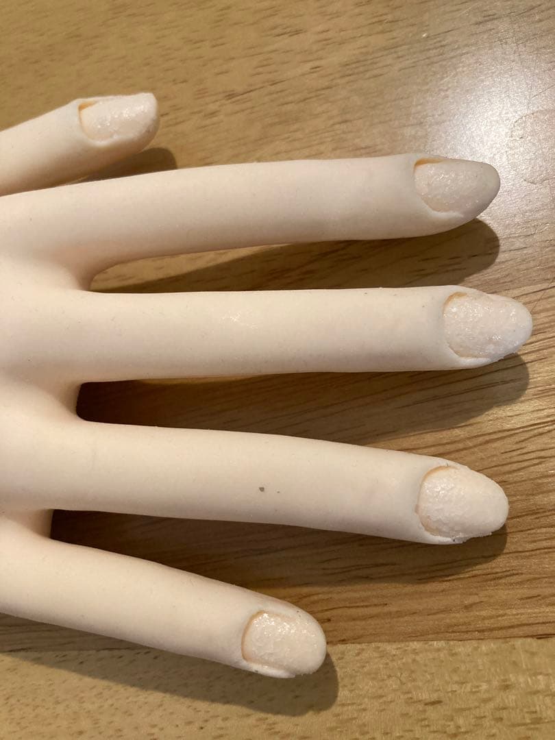 ネイリスト検定　JNEC認定モデルハンド両手