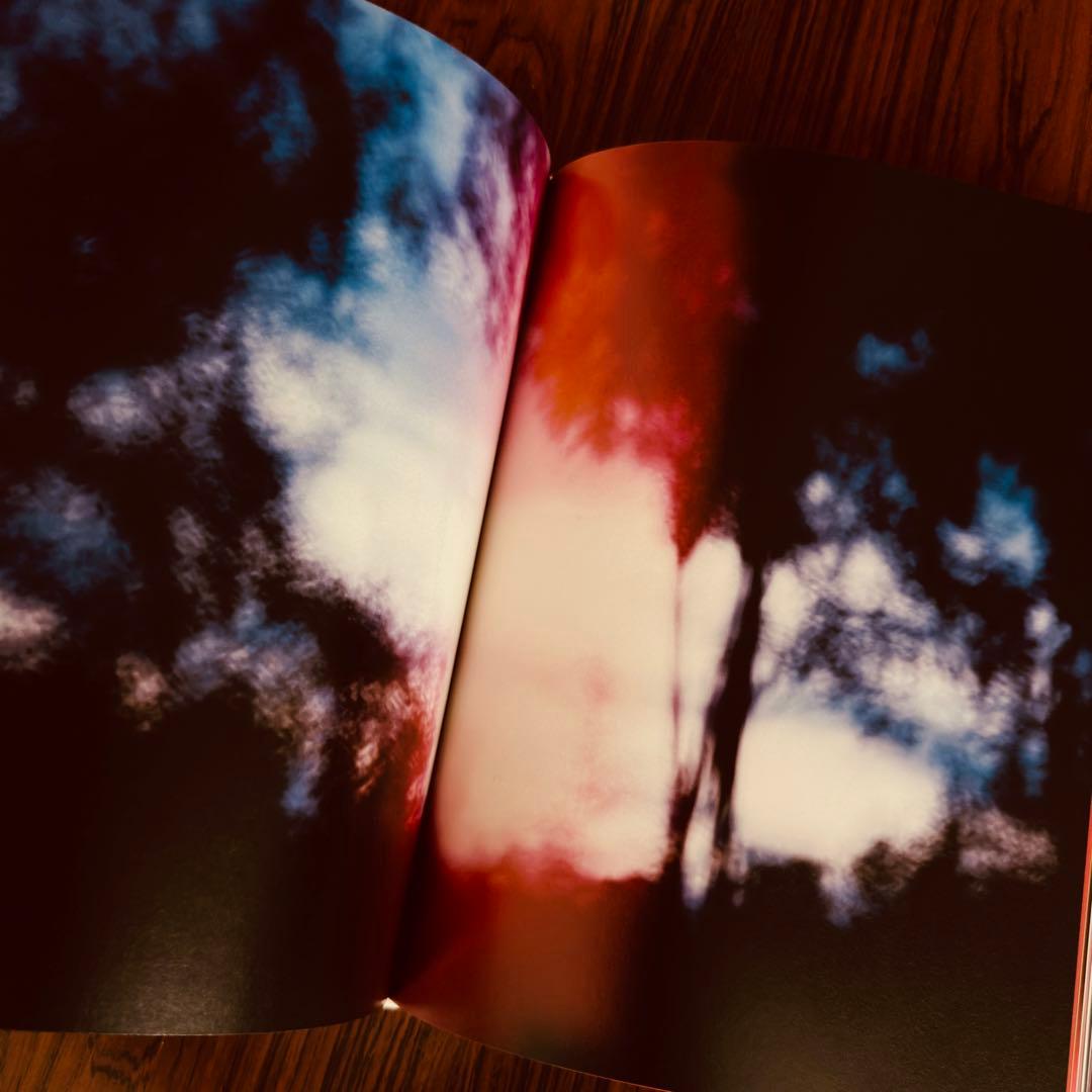 アート・デザイン・音楽 Mark Borthwick Abandom Reverie`