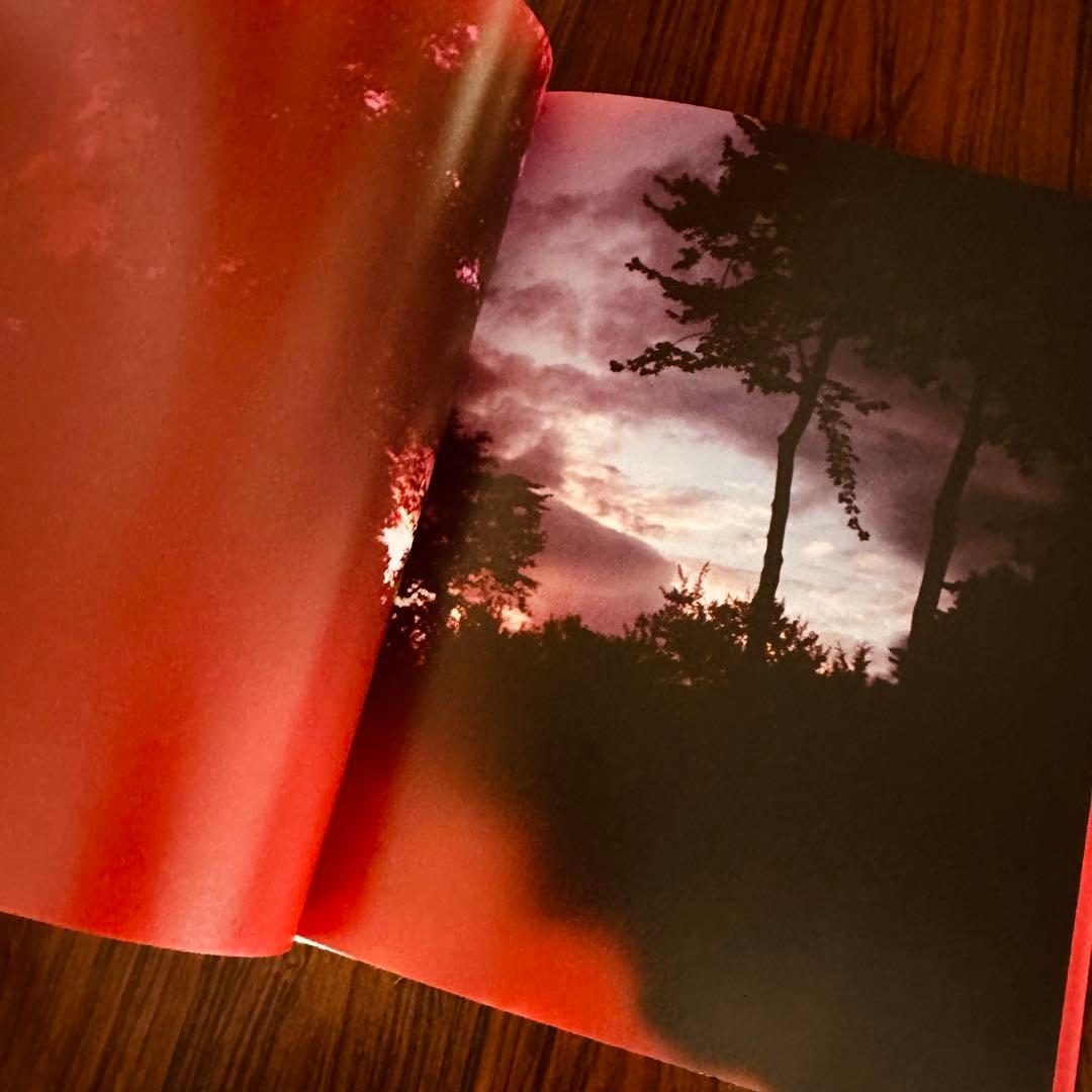 アート・デザイン・音楽 Mark Borthwick Abandom Reverie`