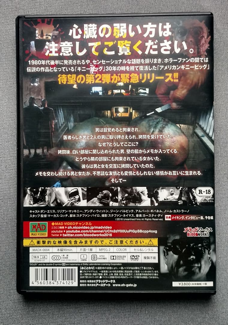 【洋画中古DVD】アメリカン ギニーピッグ　ブラッドショック!!