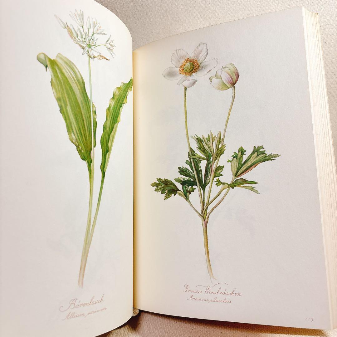 美しい植物画 Elsa Felsko 植物図鑑2冊 Blumen 洋書 すずらん
