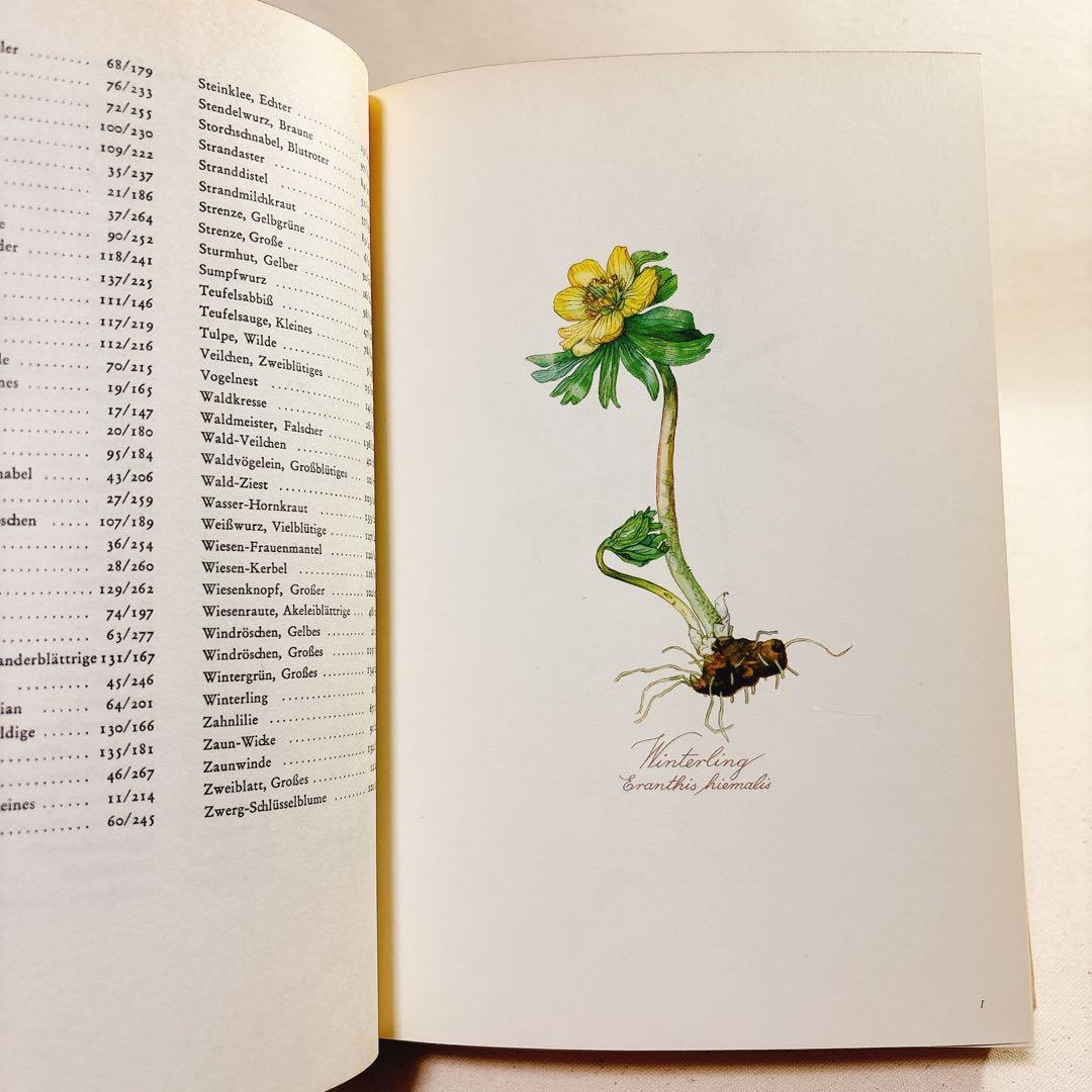 美しい植物画 Elsa Felsko 植物図鑑2冊 Blumen 洋書 すずらん