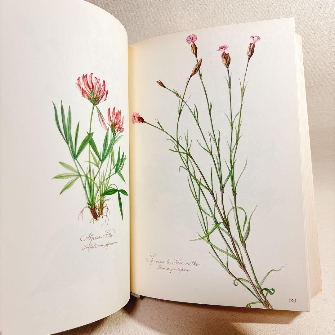 美しい植物画 Elsa Felsko 植物図鑑2冊 Blumen 洋書 すずらん