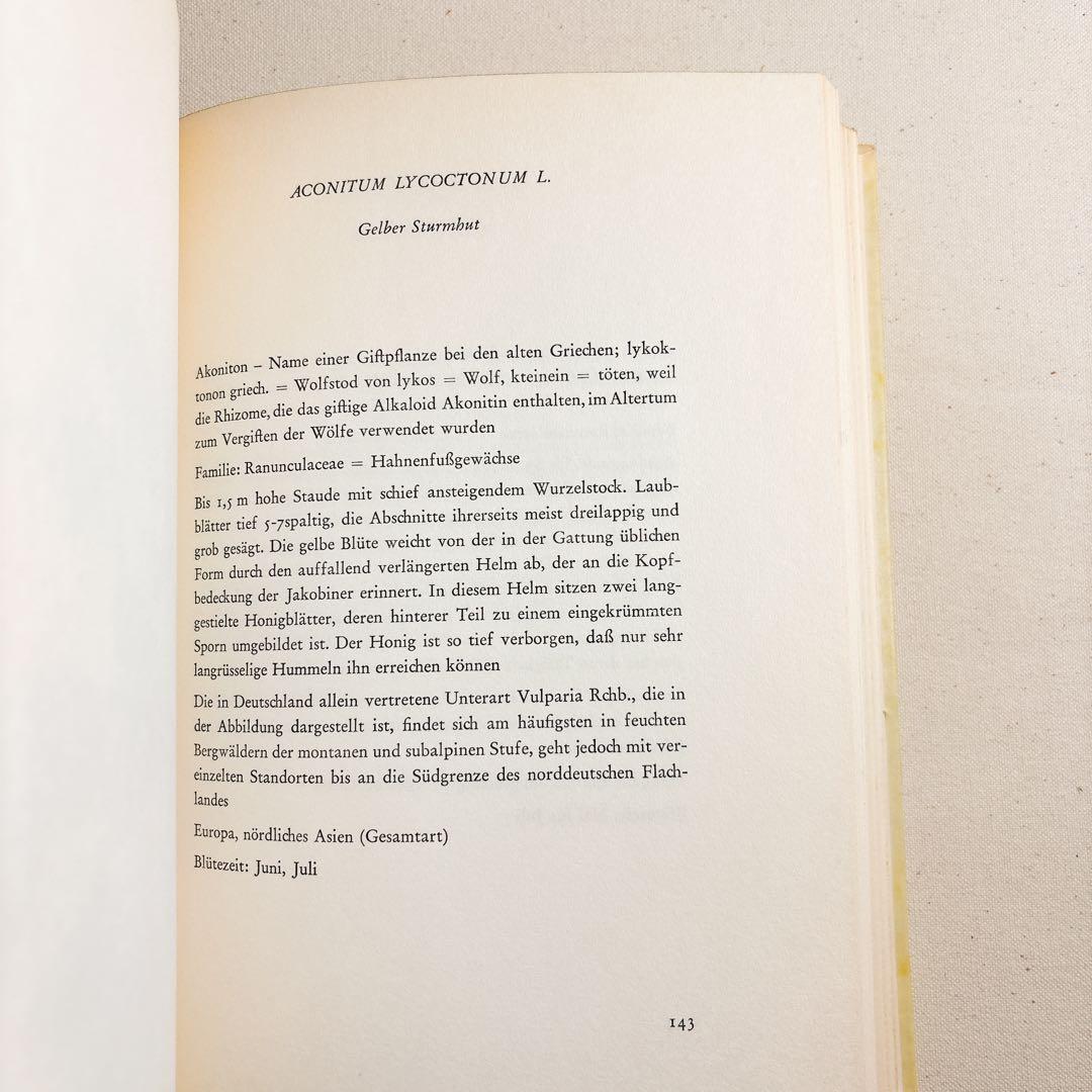 美しい植物画 Elsa Felsko 植物図鑑2冊 Blumen 洋書 すずらん