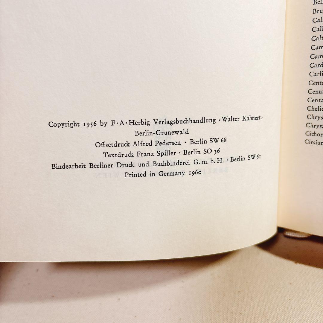 美しい植物画 Elsa Felsko 植物図鑑2冊 Blumen 洋書 すずらん