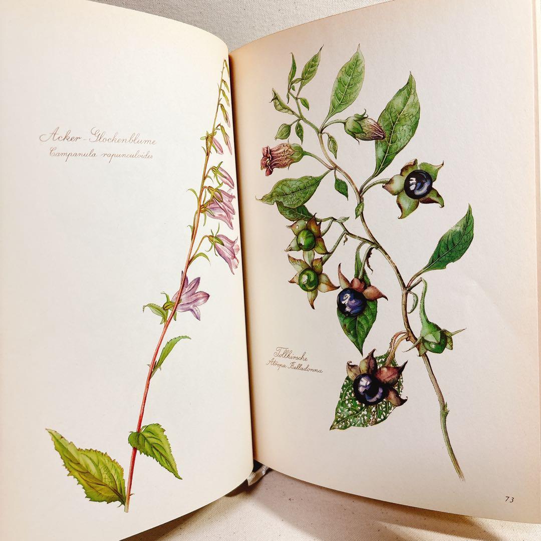 美しい植物画 Elsa Felsko 植物図鑑2冊 Blumen 洋書 すずらん