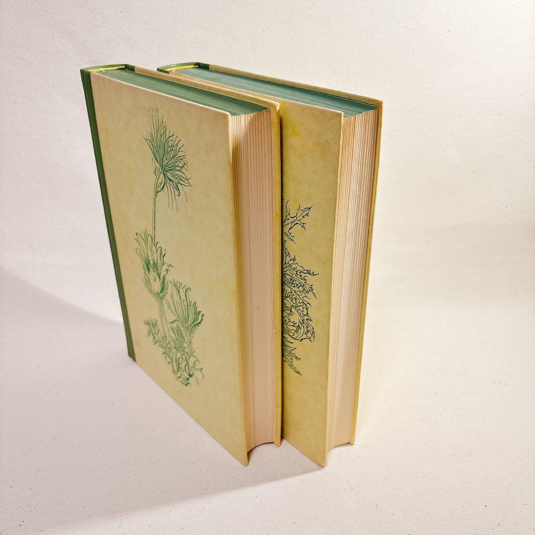 美しい植物画 Elsa Felsko 植物図鑑2冊 Blumen 洋書 すずらん