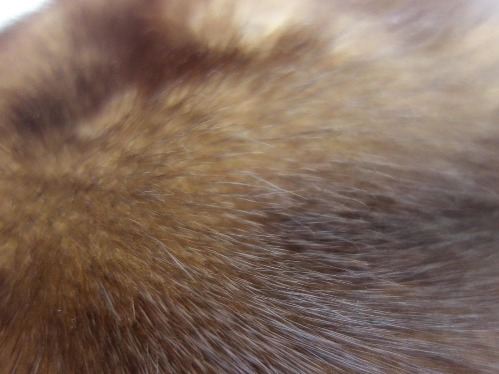 未使用品　SAPPORO mutoh ファー 帽子 ミンク ■70715-6