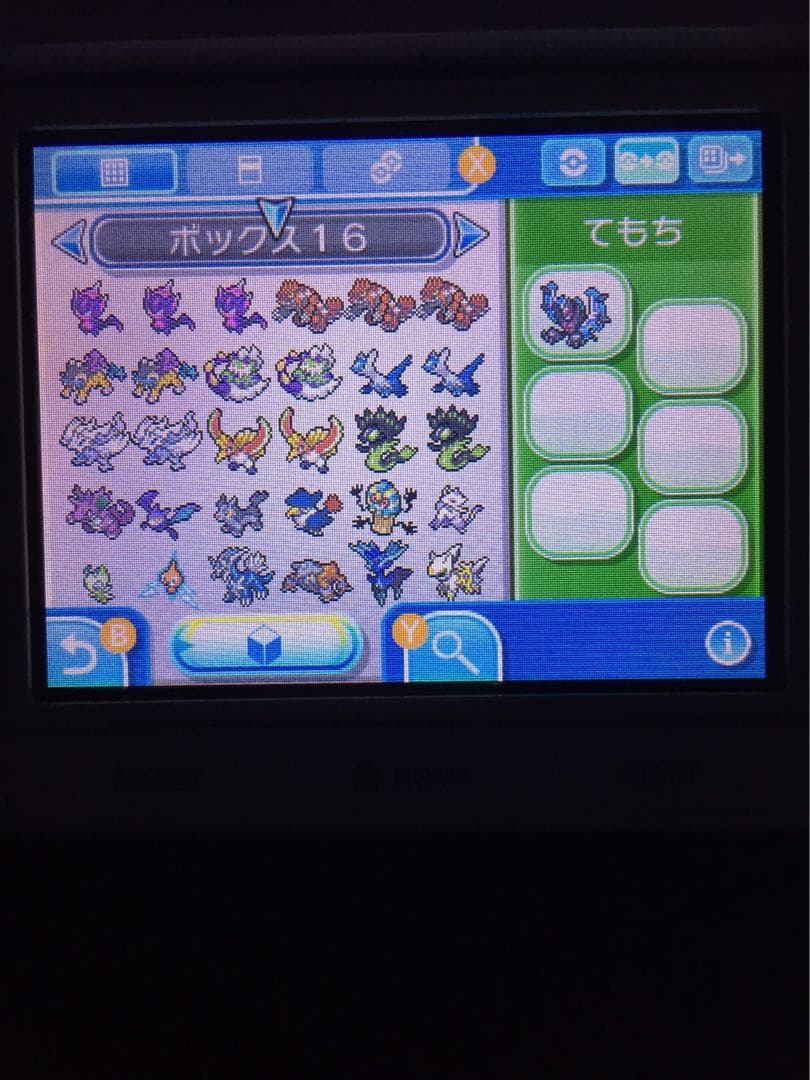 ポケットモンスター　ウルトラムーン