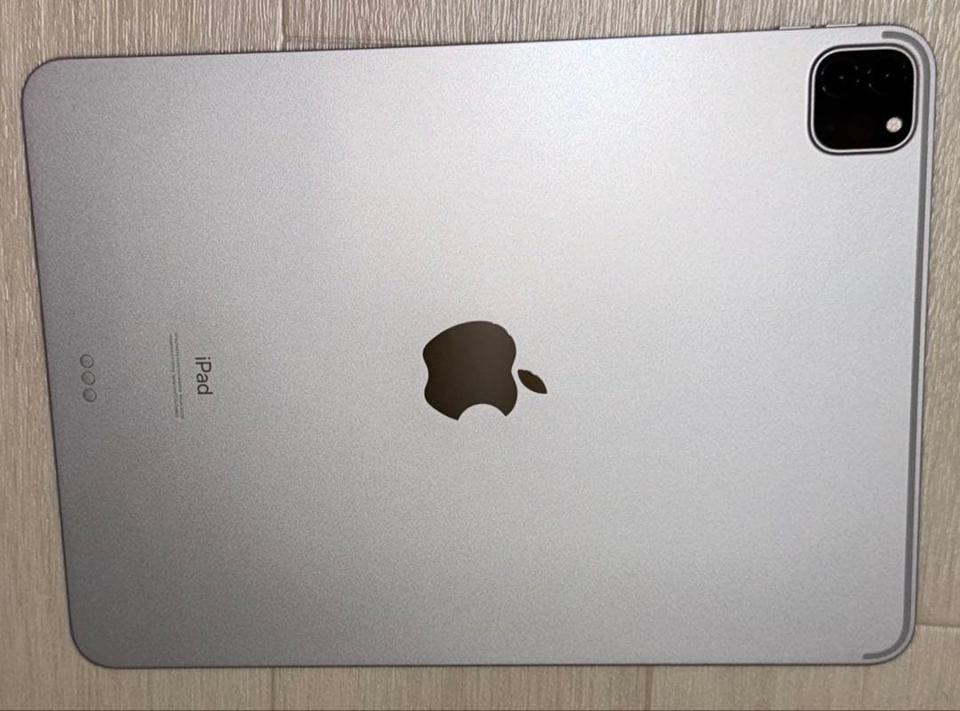 iPad Pro 11インチ　第2世代　256GB本体➕Apple Pencil