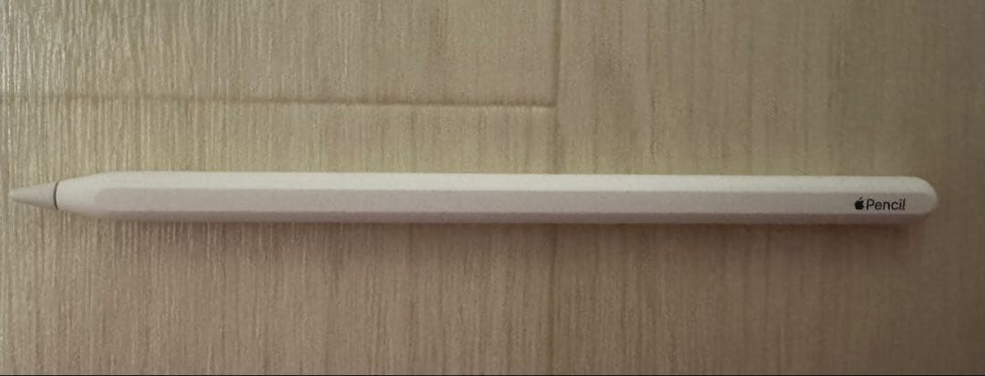 iPad Pro 11インチ　第2世代　256GB本体➕Apple Pencil