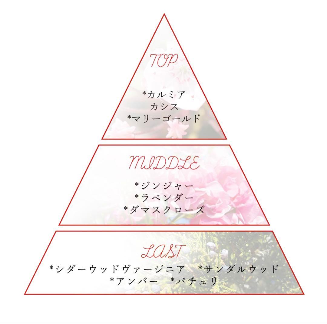 ジョジョ ディオ・ブランドー香水 NOZ COLLABORATION