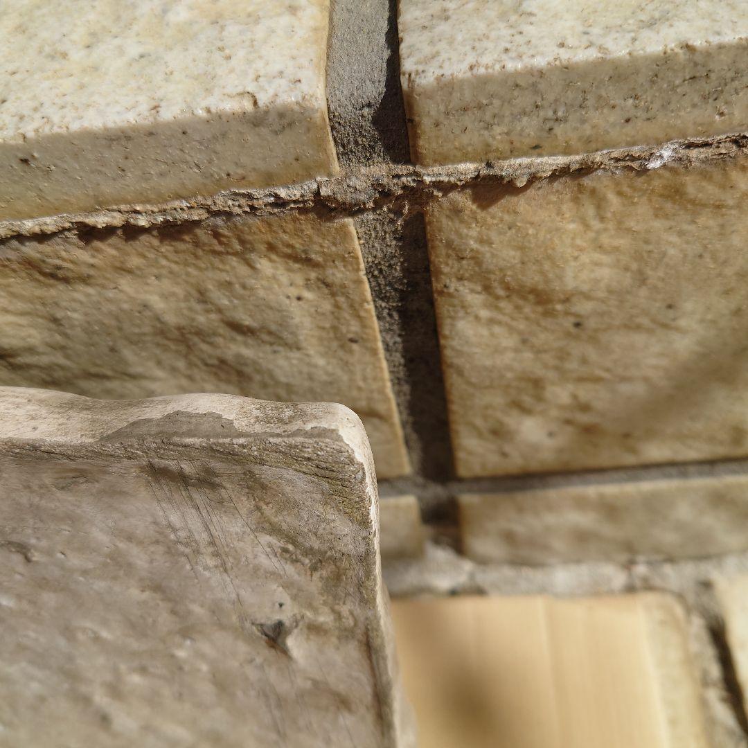 ワンダーデコール　イヤープレート　2025