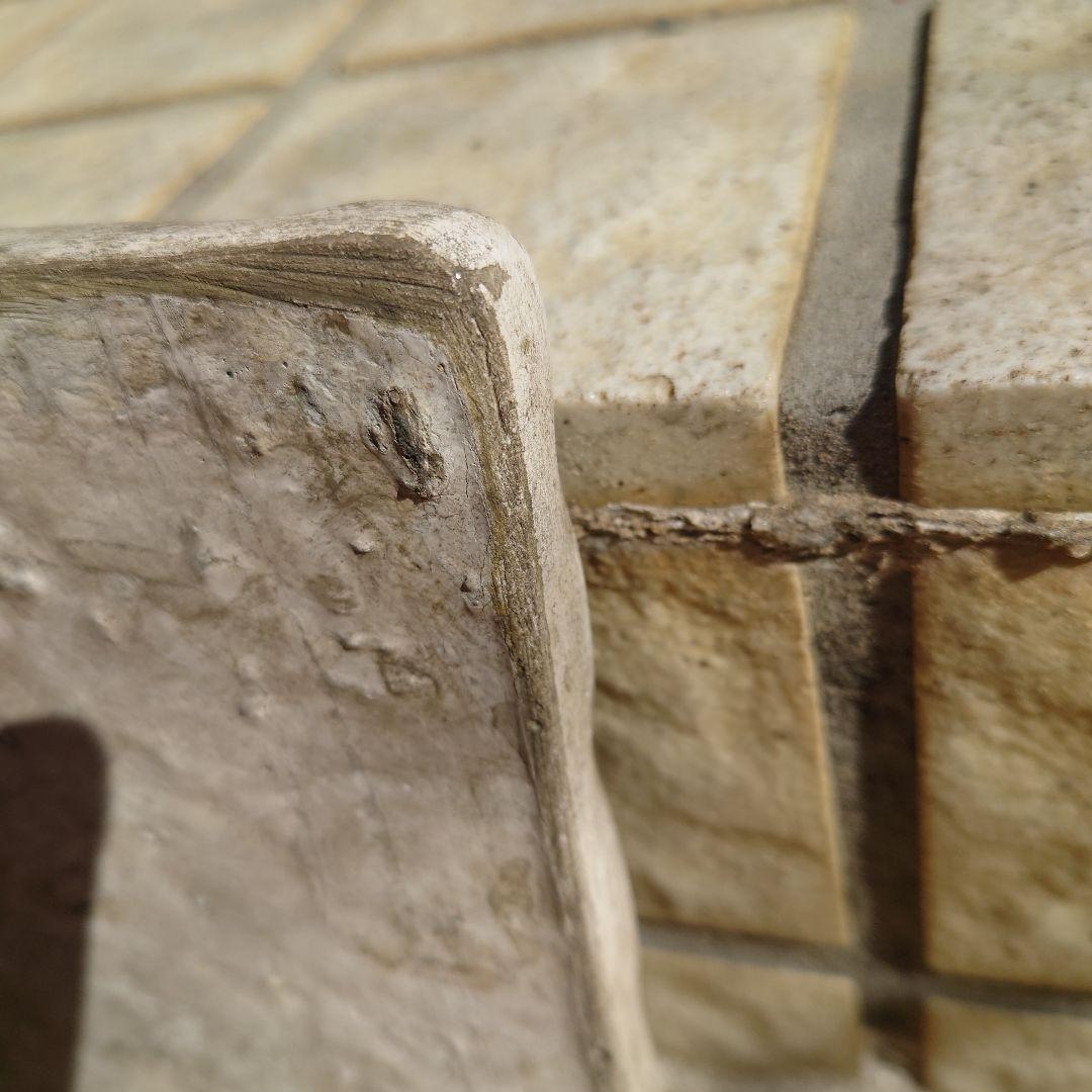 ワンダーデコール　イヤープレート　2025