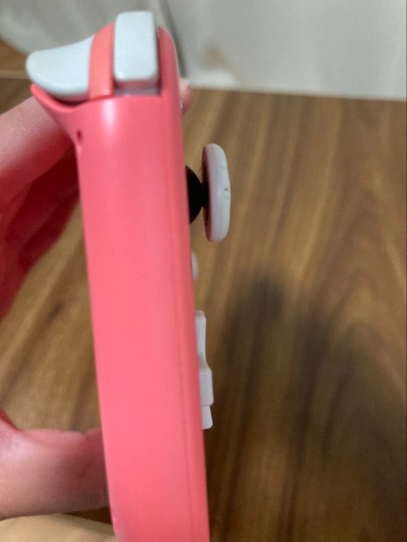 Nintendo Switch Lite ピンク 本体 充電器・ケース付き