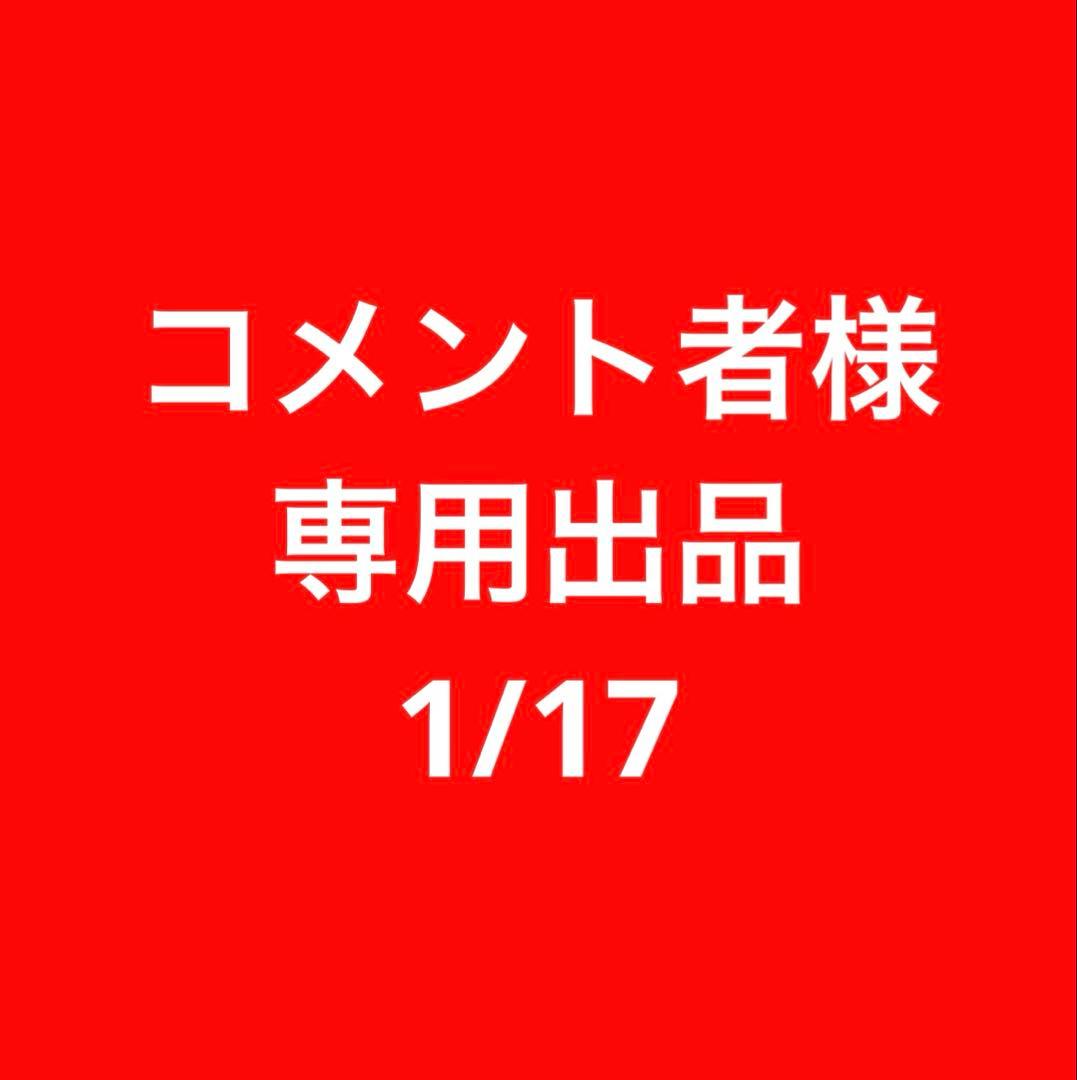 コメント者1/17 カ12