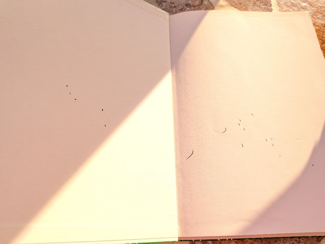 絵本25冊セット 　家庭保育園推奨　まとめ売り　福音館書店など　知育