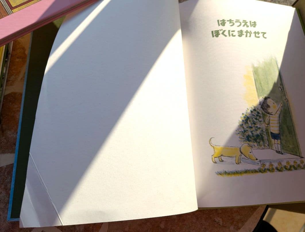 絵本25冊セット 　家庭保育園推奨　まとめ売り　福音館書店など　知育