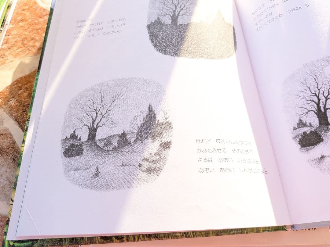 絵本25冊セット 　家庭保育園推奨　まとめ売り　福音館書店など　知育