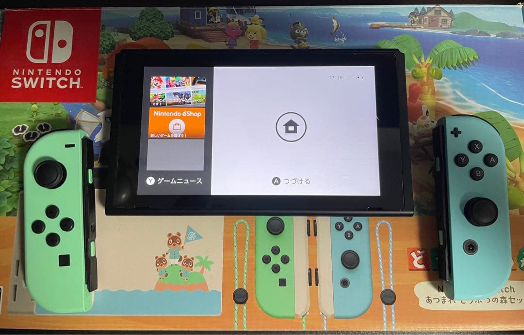 Nintendo Switch本体 あつまれどうぶつの森