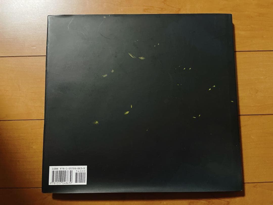 The Art of How to Train Your Dragon 英語版