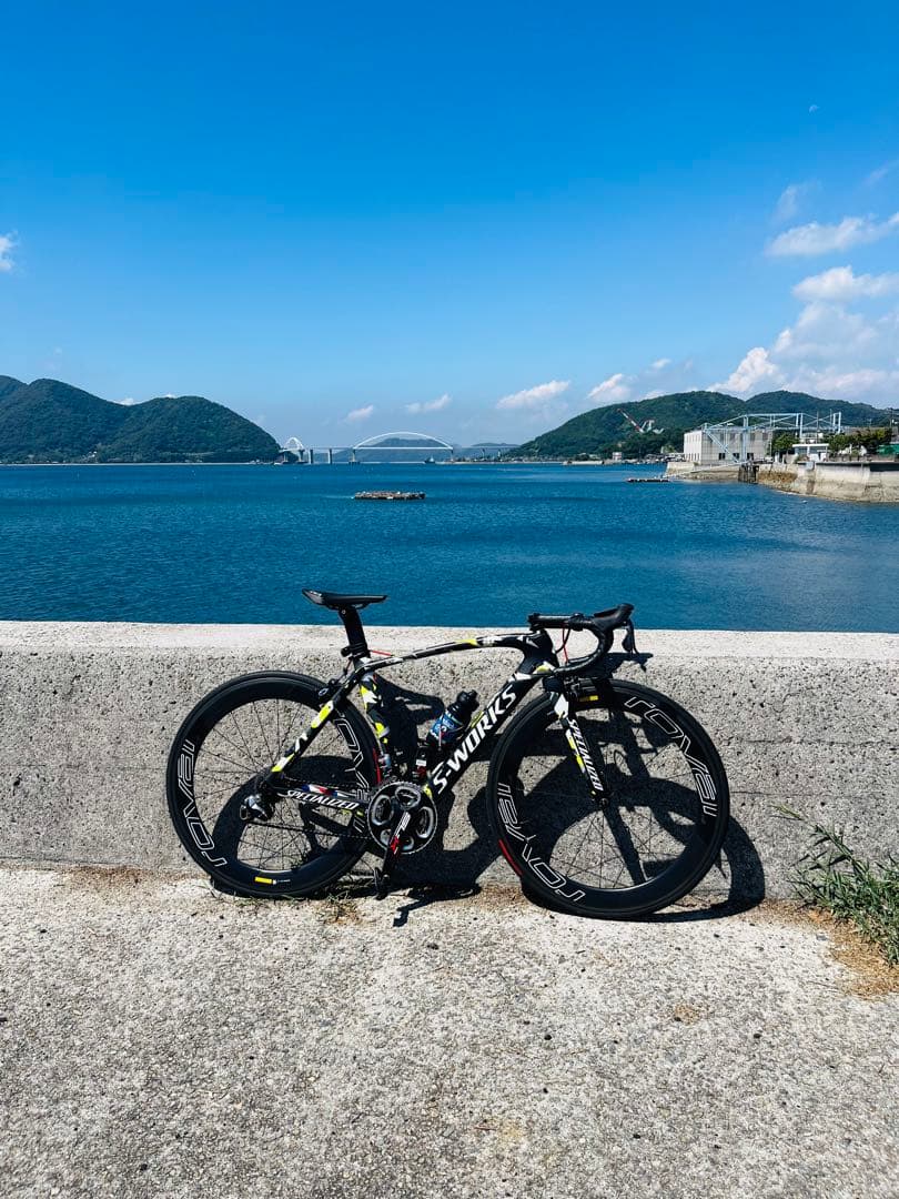 S-Works 国内10本限定 ヴェンジ サガンモデル 52サイズ