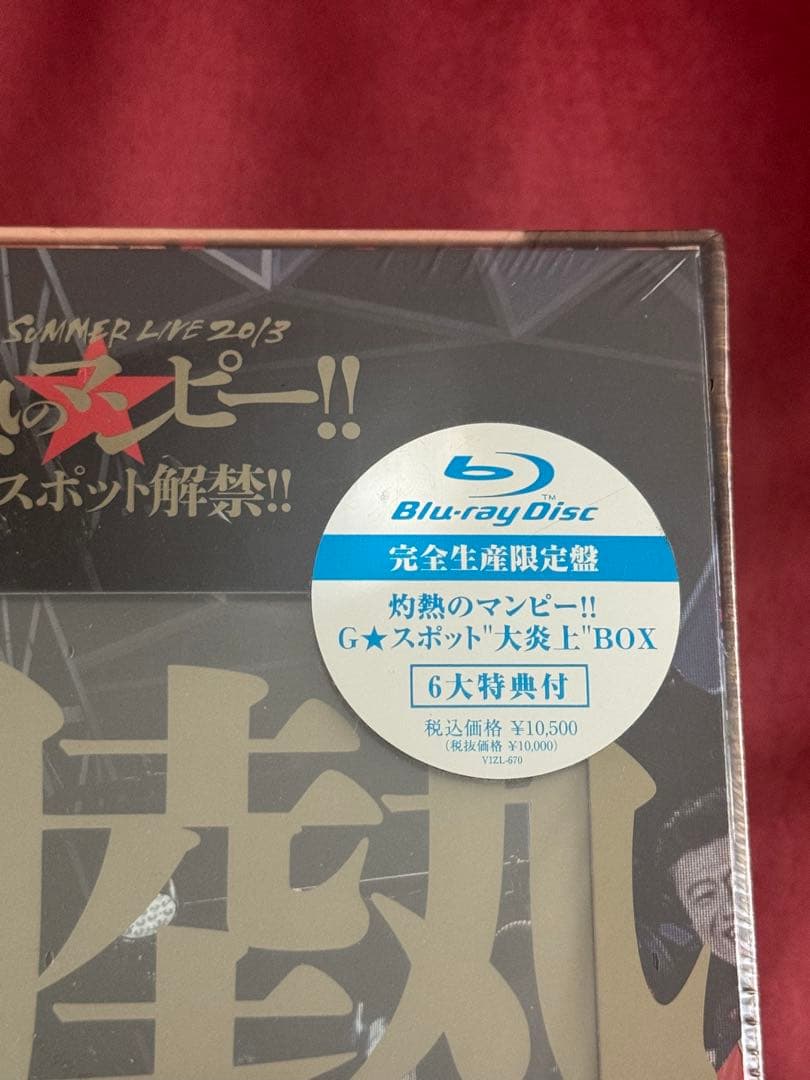 サザンオールスターズ/SUPER SUMMER LIVE 2013