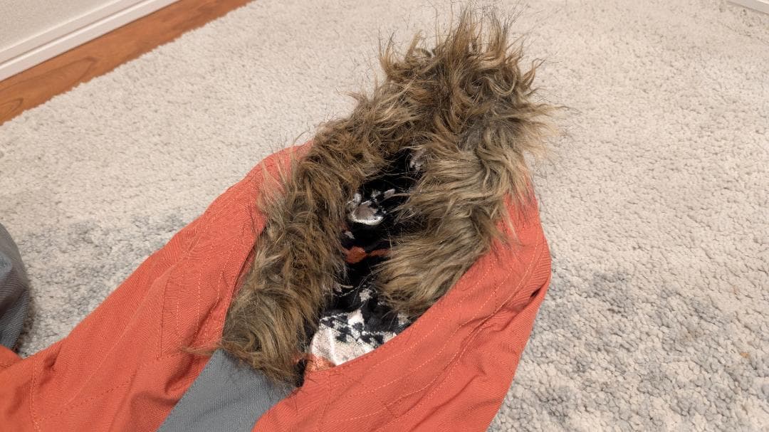 【美品・5回未満】Burton バートン スノボウェア ジャケット レディースS