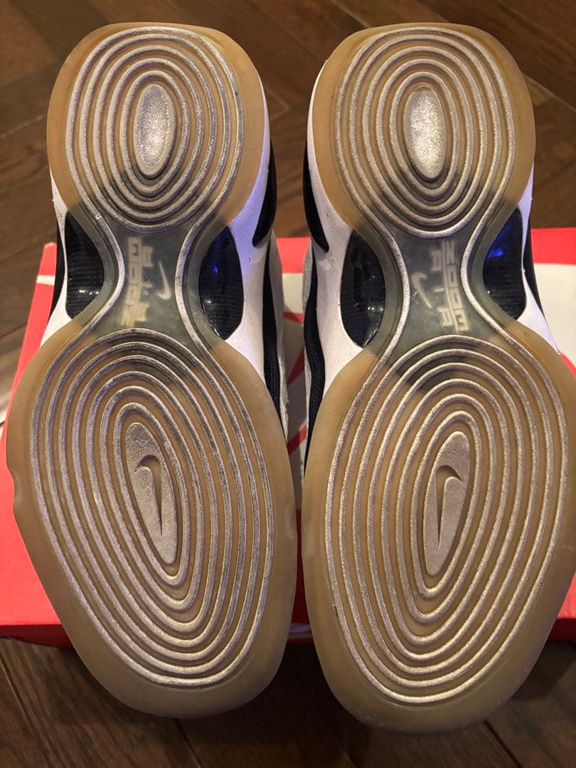 NIKE ナイキ エア ズームフライト96 884191-103 26cm