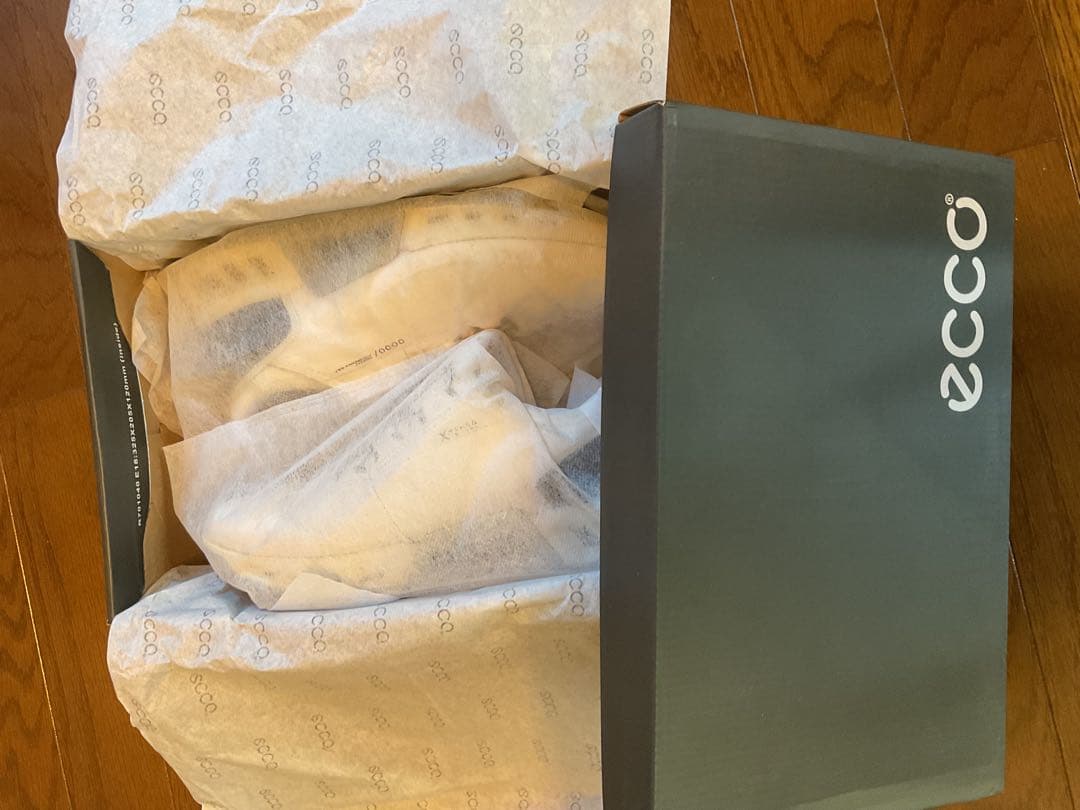 ecco ゴルフシューズ BOA GORE-TEX 仕様