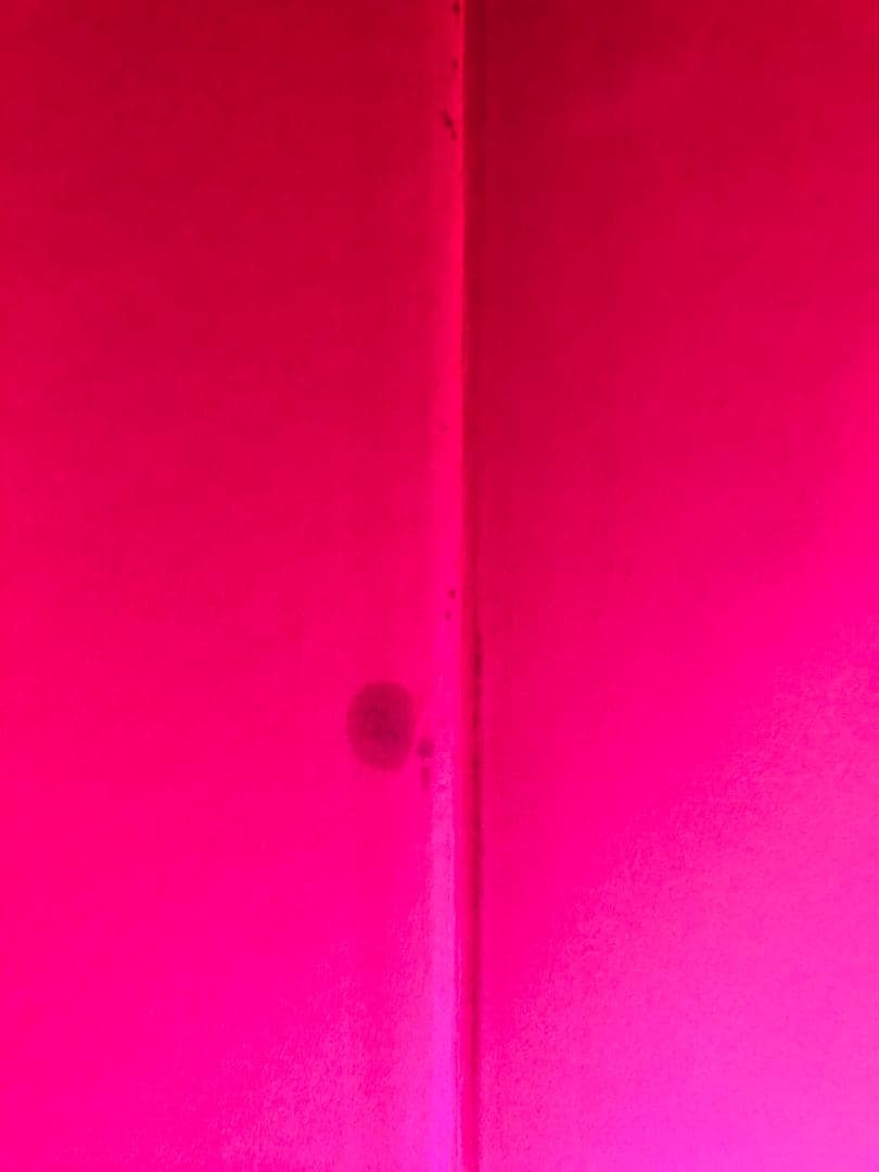 AngloMania アングロマニア:英国ファッションにおける伝統と違反