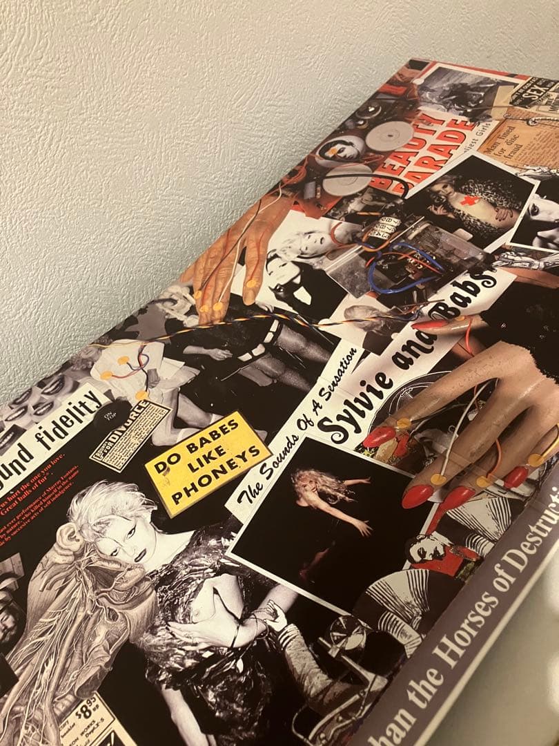 レコード Nurse With Wound Sylvie And Babs