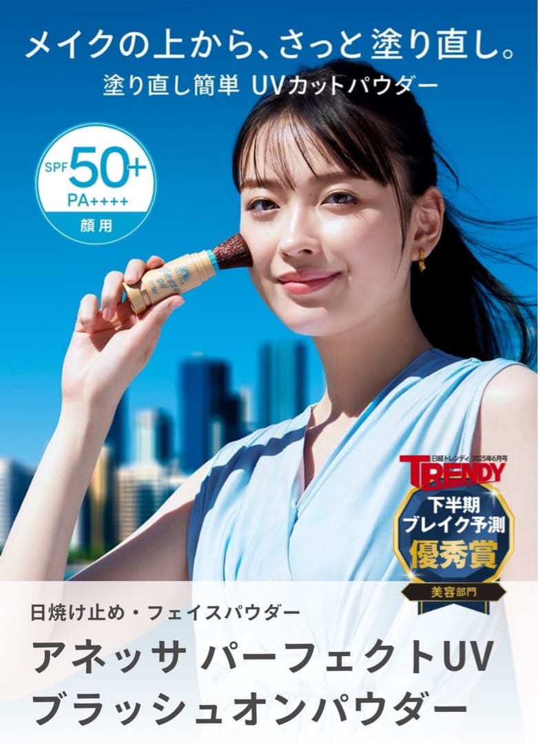 ネッサ パーフェクトUV ブラッシュオンパウダー　本体 & 詰め替え セット