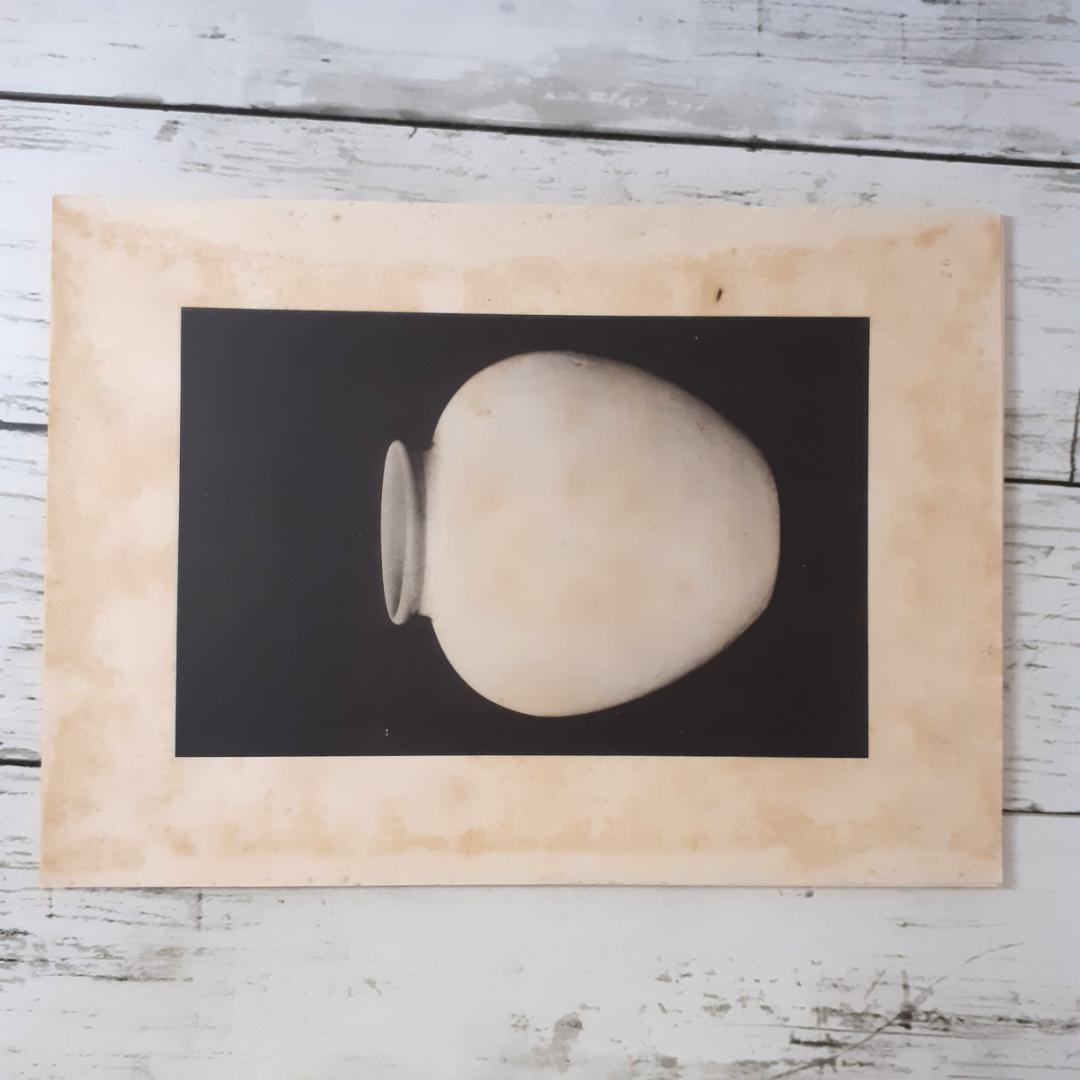 支那古陶瓷　大谷光瑞