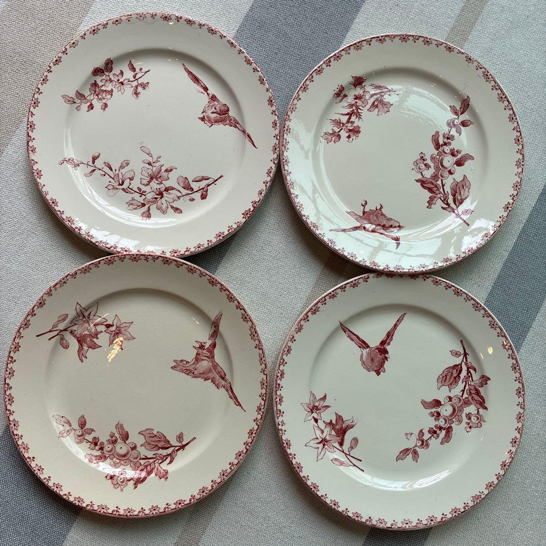 希少　サルグミンヌ ファボリ　ディナープレート A フランスアンティーク食器