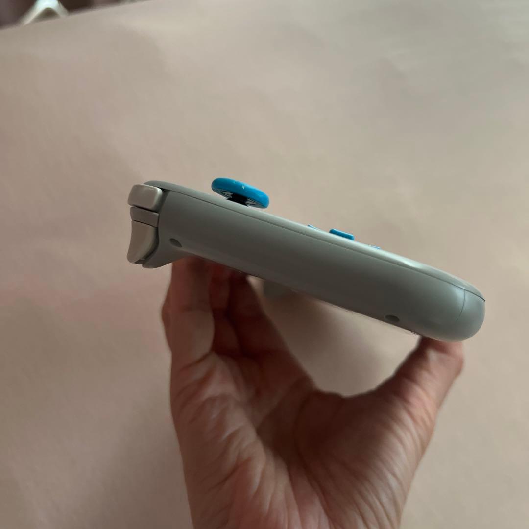 ニンテンドー　スイッチ　ポケモン