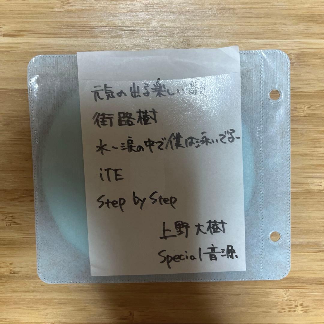 上野大樹　デモ