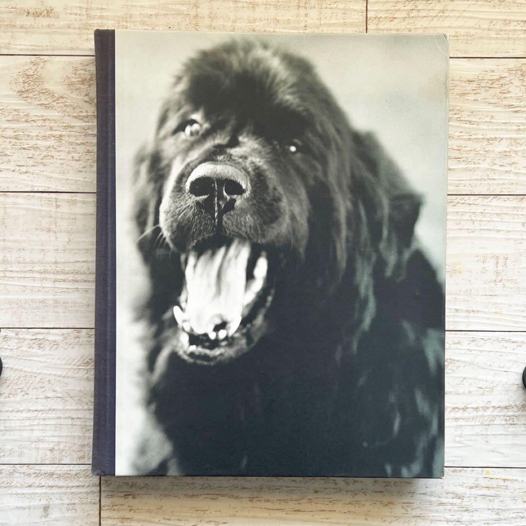 Bruce Weber ブルース・ウェーバー　GENTLE GIANTS