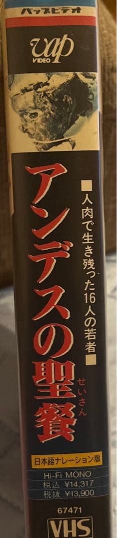 入手困難作品‼️未DVD『アンデスの聖餐』VHS