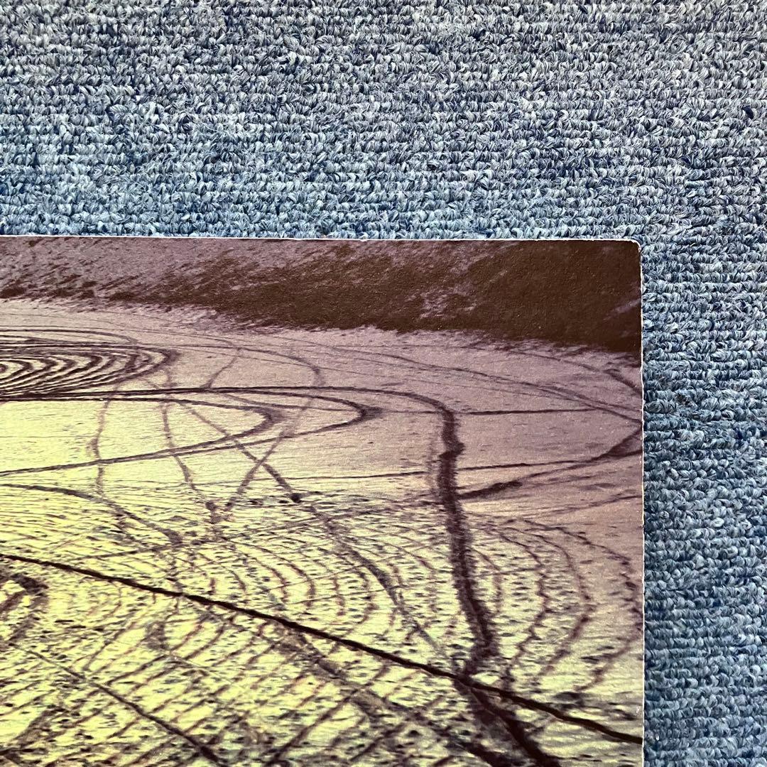 志賀理江子 『螺旋海岸』 サイン入 展覧会フライヤー 付　lieko shiga