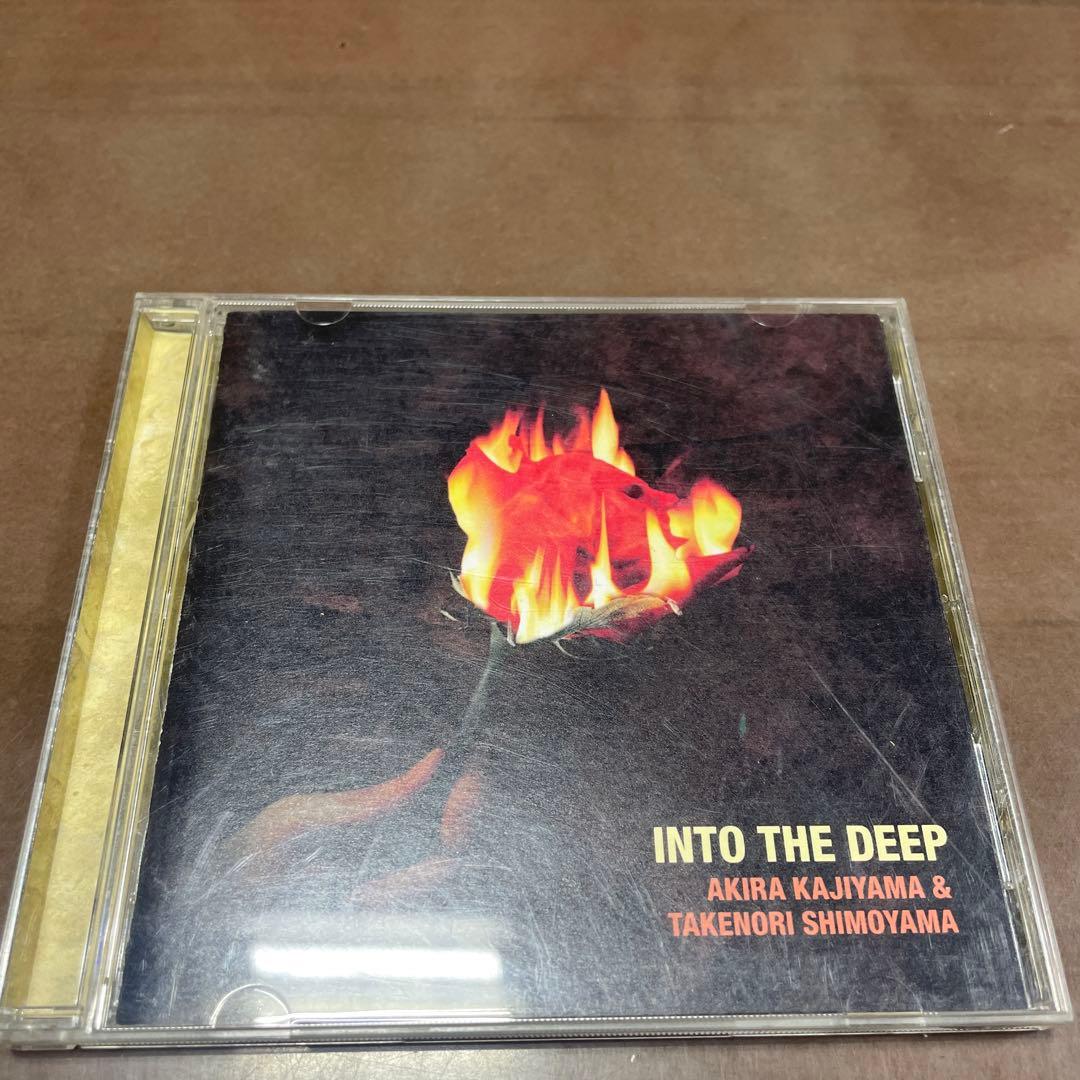 イントゥ・ザ・ディープ