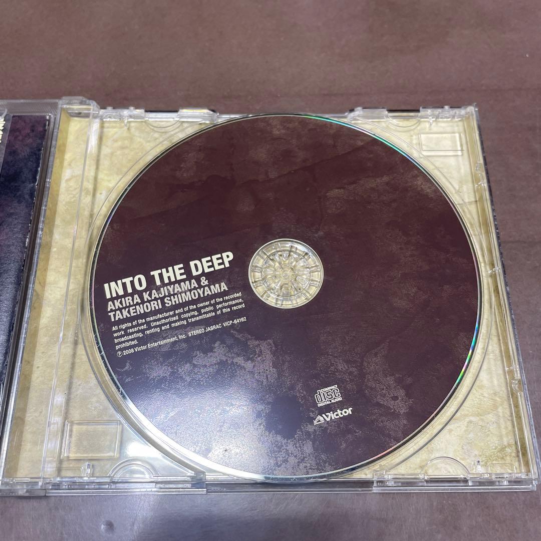 イントゥ・ザ・ディープ