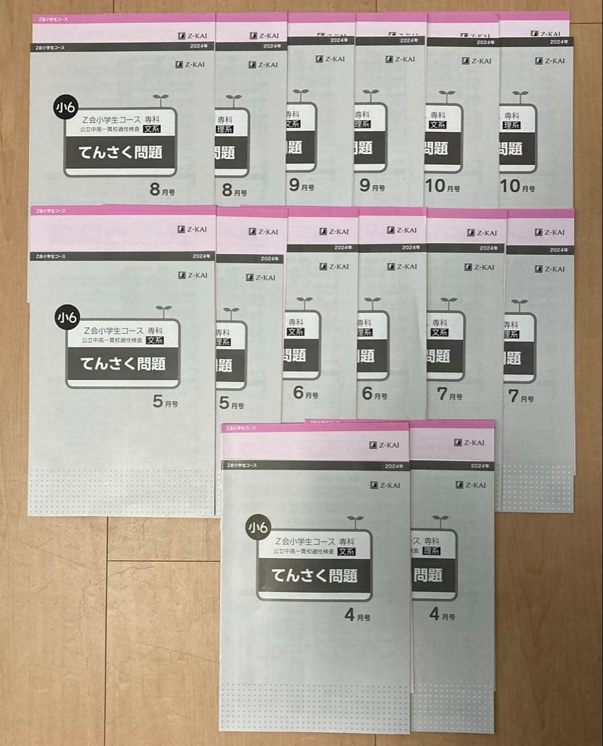 【商品No.10】Z会 エブリスタディ 適性検査 小6 公立中高一貫 添削のみ