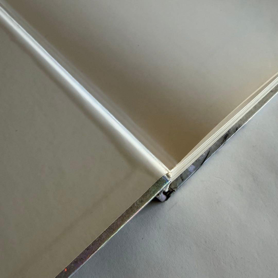 【希少】Visionaire 10周年記念本 マルジェラ ギャルソン掲載 写真集