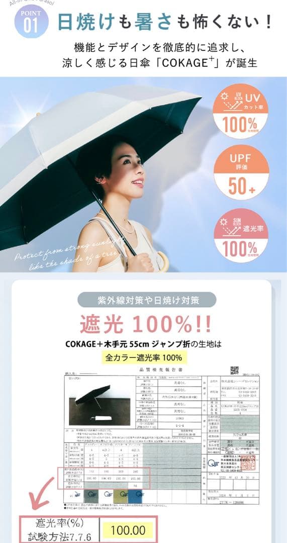 Waterfront 公式　COKAGE+ 2段 折りたたみ　新品未使用