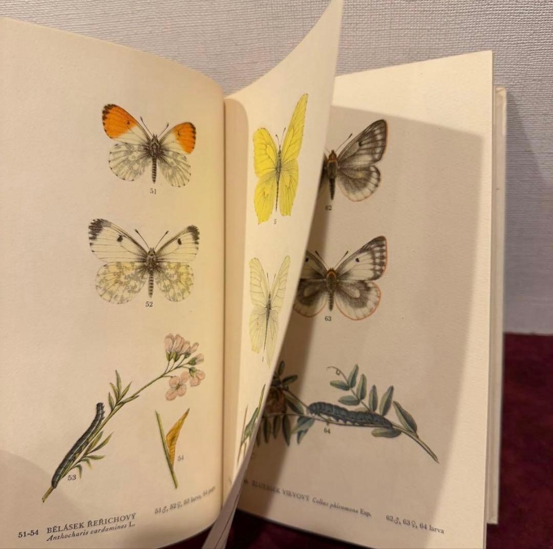 129②チェコ蝶々図鑑　2冊セット　洋書古書　ジャンクジャーナル　ボタンニカル