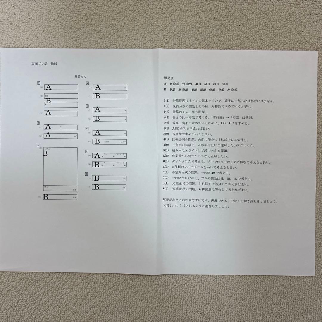 名進研プレテスト　夏期講習総仕上げテスト　東海、名古屋、南山男子プレ2024年